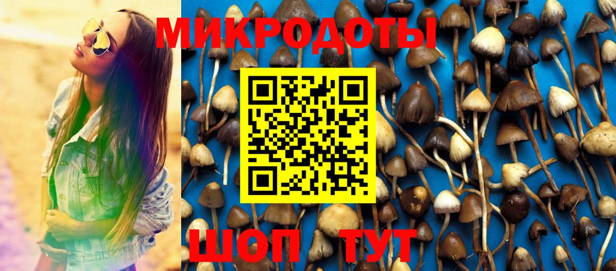 Галлюциногенные грибы мицелий  Вход с VPN  Галлюциногенные грибы ЛСД  Гуково 