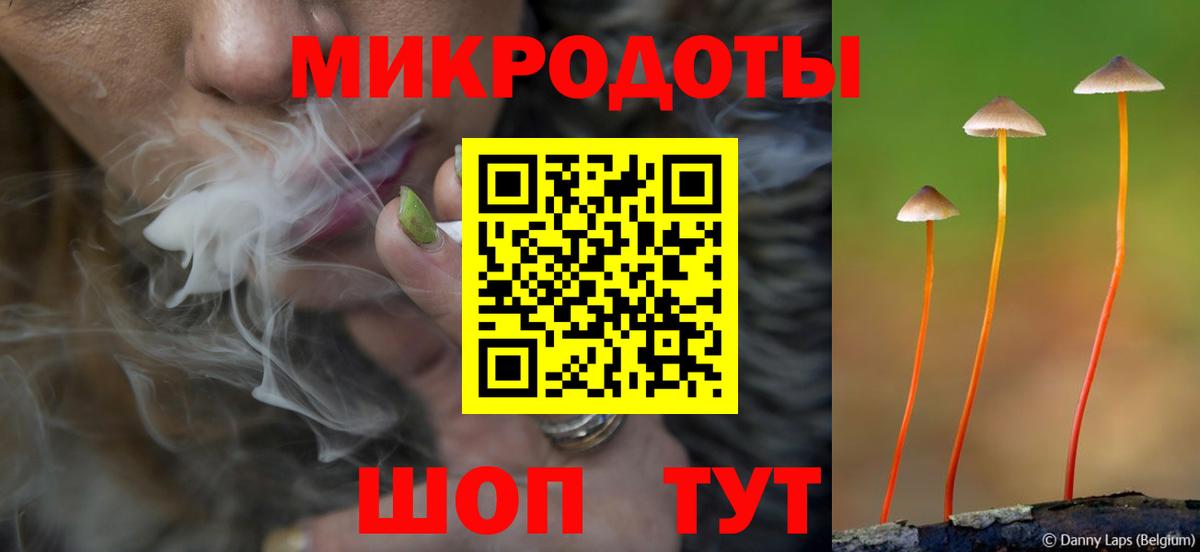 Галлюциногенные грибы Cubensis Гуково